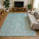 Premium Machine Washable Honig AMF1659 Damask Rug