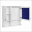 W H Medicine Cabinet Mirror