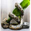 Figurine Cambre