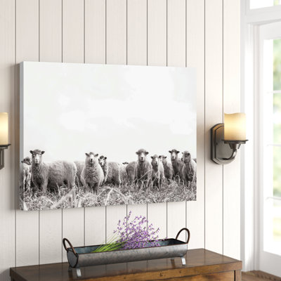 «Black and White Sheep Herd», reproduction de photo sur toile tendue