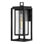 Republic Black 1 - Bulb Outdoor Wall Lantern