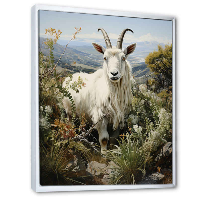 «White Meadow Buck Goat Peaks», art mural animal de chèvre, Cadre flottant blanc, 40" H x 30" W