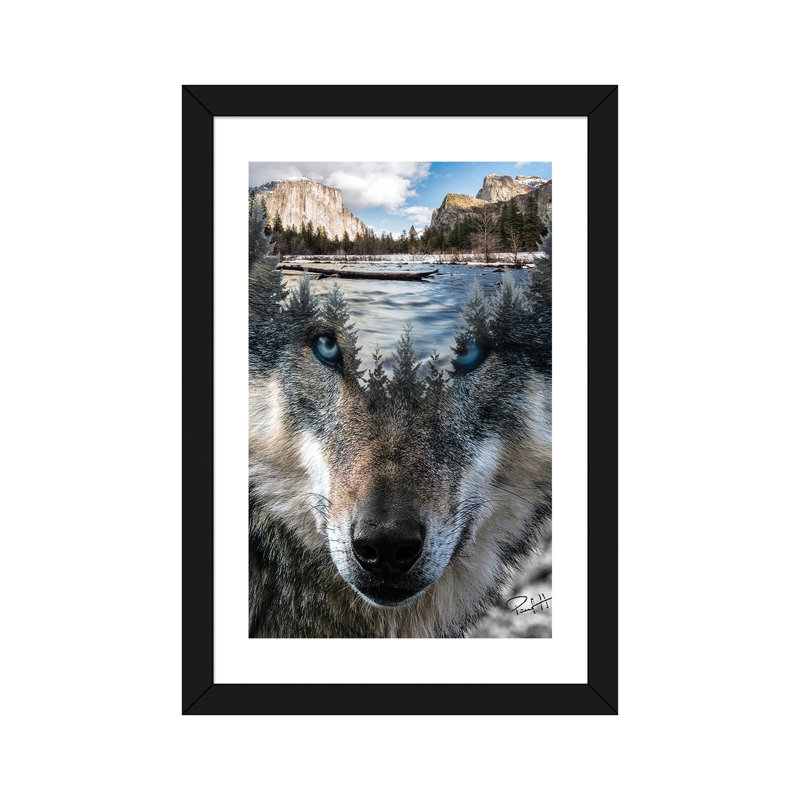« loup » par paul haag-impression sur image, H 24 po x l 16 po x P 1 po, Papier avec cadre noir