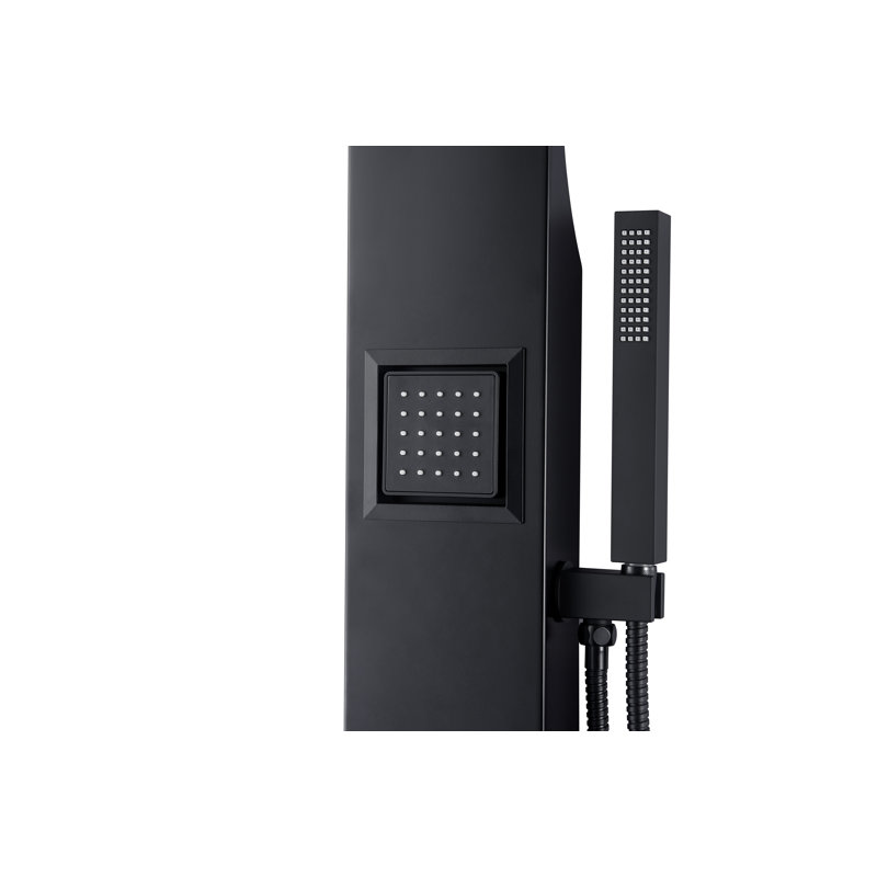 Panneau de douche 39,37 po Aura avec pomme de douche fixe, Noir mat