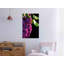 Colours Of Spring - Print on Canvas-1632527260