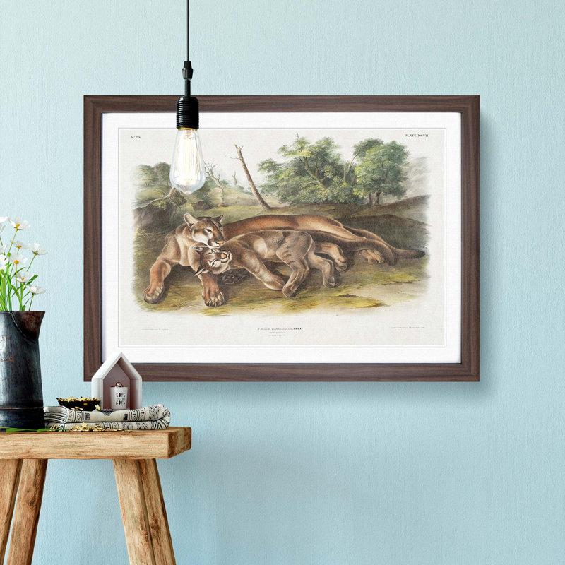 Two Cougars by J.W. Audubon - Framed Print, 27cm H x 36cm W x 2cm D, Walnut Framed