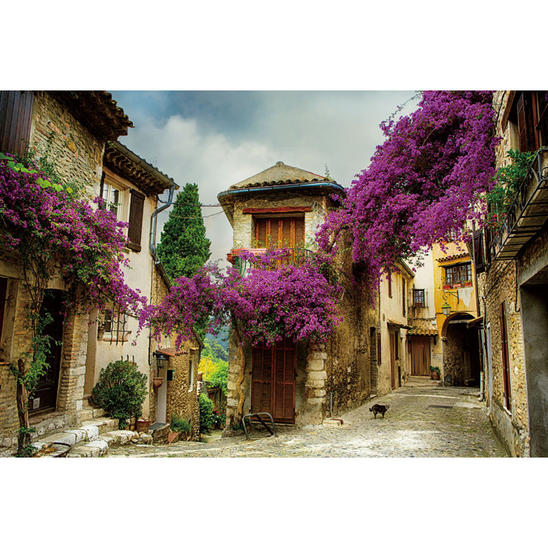 Bougainvillée, reproduction de photo