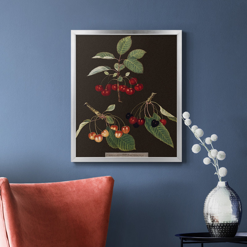 Toile encadrée de qualité supérieure Brookshaw Cherries, H 24 po x l 20 po, Argent