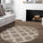Scotia Area Rug in Gray-1843546981
