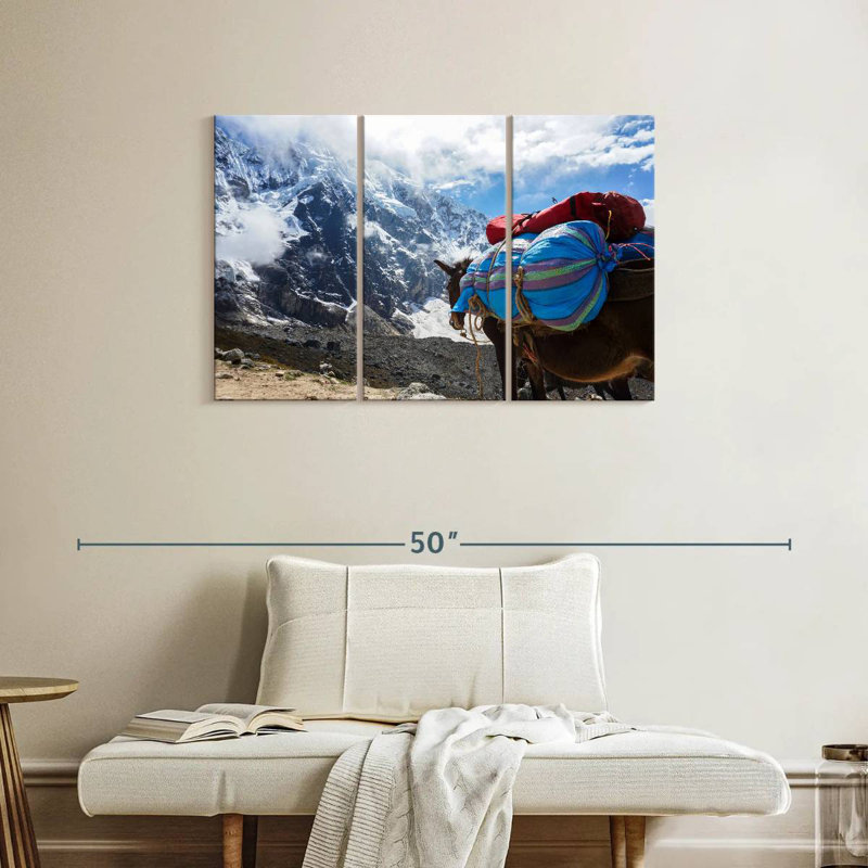 Brampt Peruvian Mountain Donkey, 24" H x 38" W