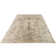 Oriental Indoor Rug