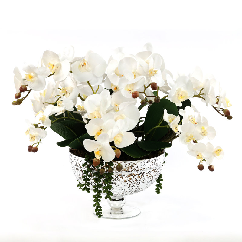 Elegant White Orchid Centerpiece in Antique Silver Glass Vase