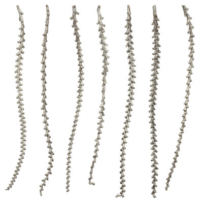 40'' Branch