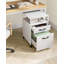 Brixton 41cm Wide 2 -Drawer Mobile File Cabinet-372937157
