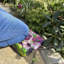 McMullin Garden Kneeler
