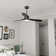 Levyn 52'' Ceiling Fan with LED Lights