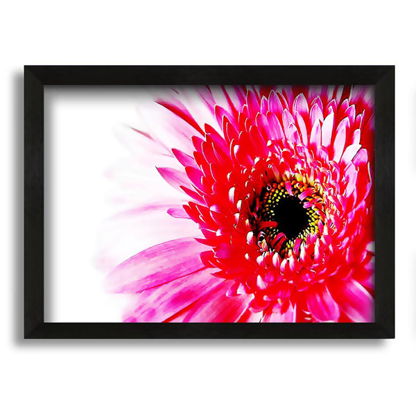 Ebern Designs Stunning Pink Gerbera Petals - Single Picture Frame Art ...