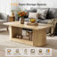 Pedestal Coffee Table with Storage