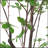 180CM ARTIFICIAL DISC LEAF TREE-363329150