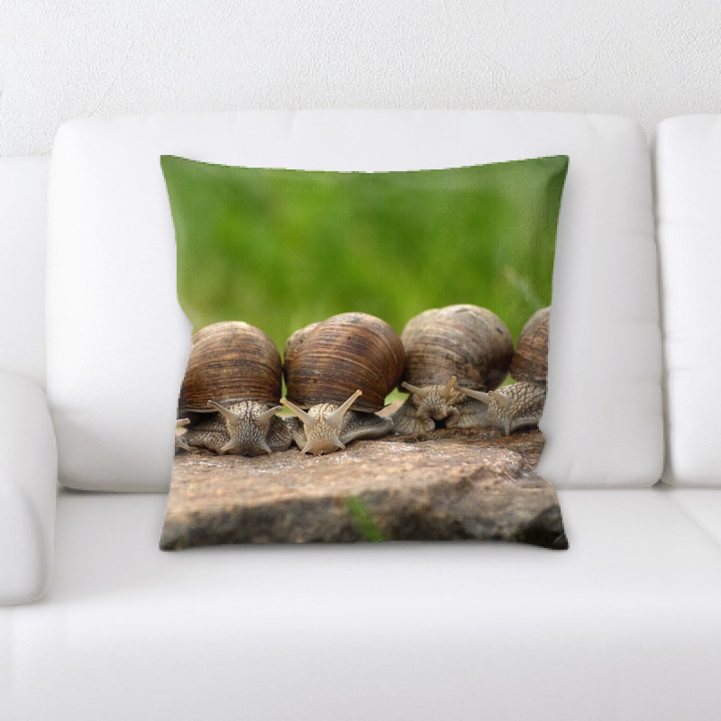 Housse et insert d'oreiller carré escargot