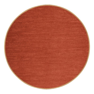 Machine Washable Solid Brown Area Rug