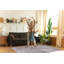 Hambly 160cm X 230cm Area Rug