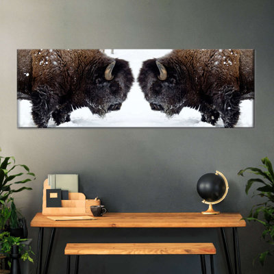 Bison Clash Canvas Print