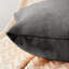 Perignan Square Scatter Crushed Velvet Cushion Cover-791488977