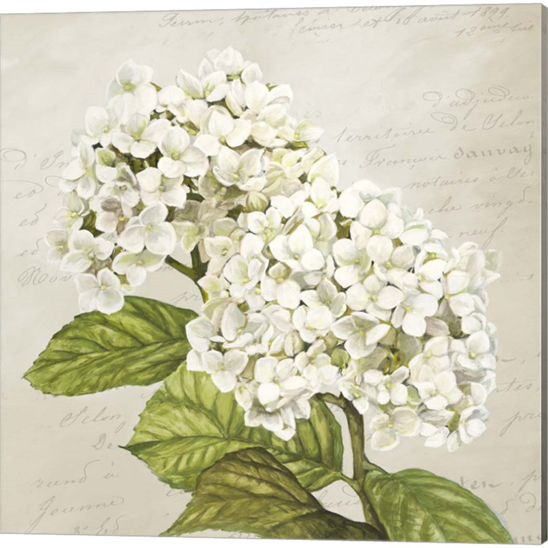 «Hydrangeas (Neutre)» par Remy Dellal, art sur toile (ensemble de 2)