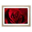 The Beauty of a Red Rose in Abstract - Picture Frame Painting Print-55735814-55735815