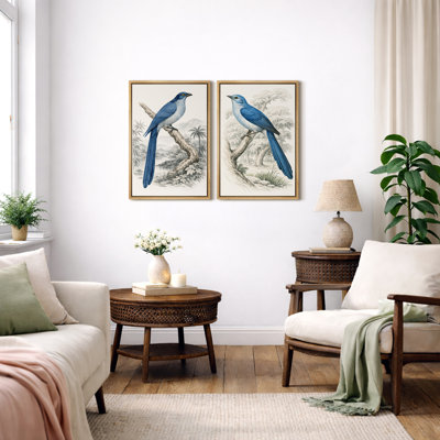 Vintage Blue Bird Natural History Artwork, Elegant Botanical Wildlife Pictures, Framed Canvas Giclee Print 2 Pieces Wall Art