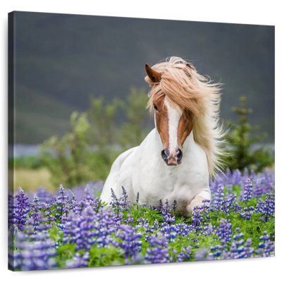 Cheval de race pure avec des lupins