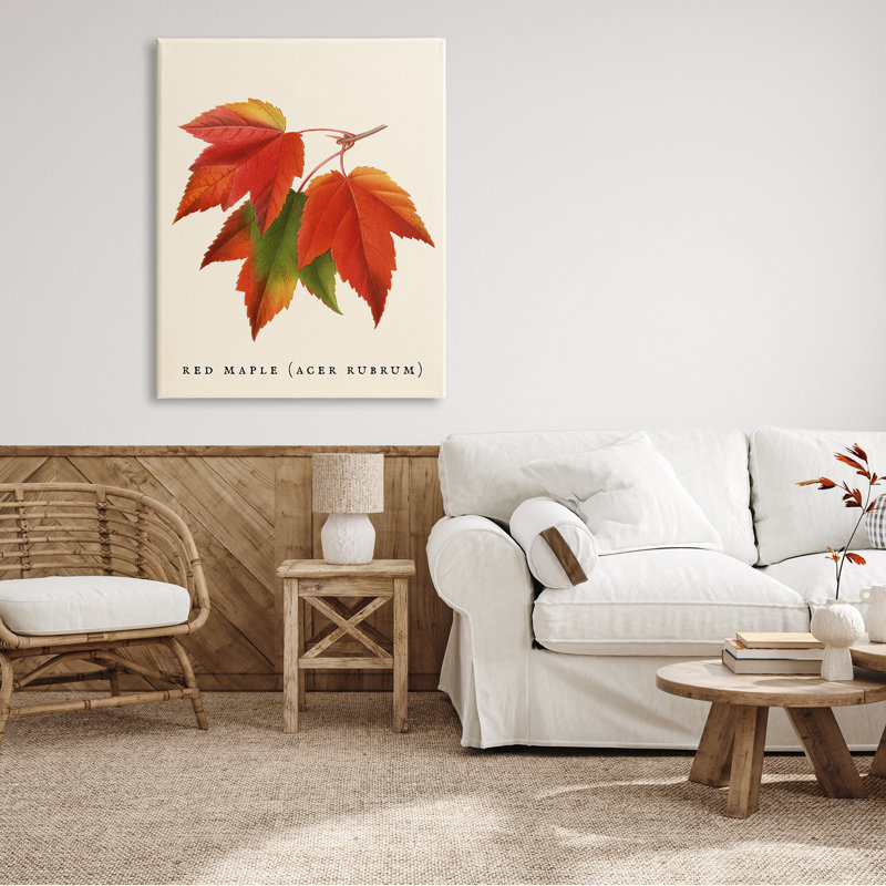 Feuillage d'automne antique avec feuille d'érable rouge par Daphne Polselli - impression, H 48 po x l 36 po, Toile tendue