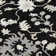 Machine Washable Indoor/Outdoor Xhevrie Black Rug