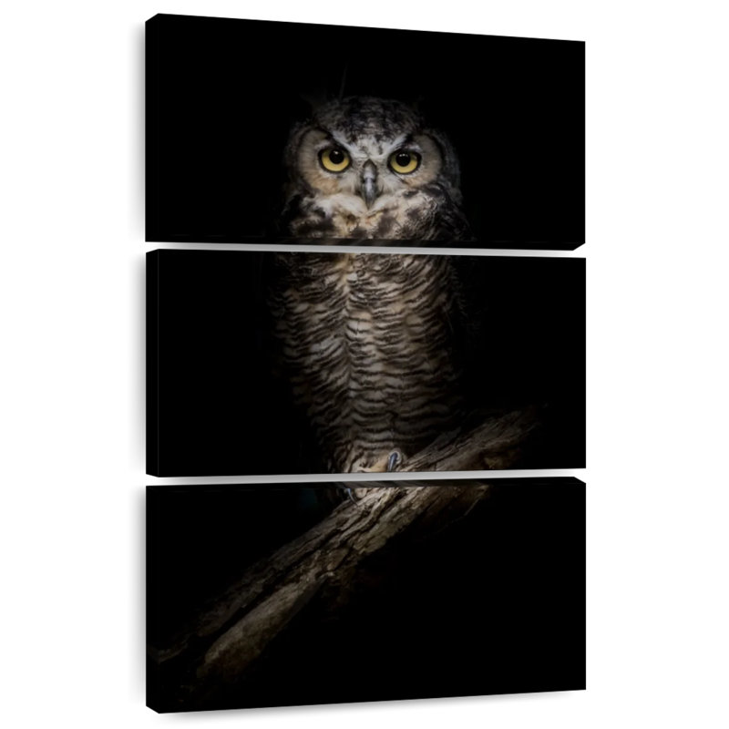Hibou de nuit Brampt Wise, H 32 po x l 20 po