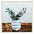 Brown Framed Canvas is unavailable