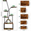 Support pour plante d'intérieur 65 pouces avec lumières DEL - 8 tablettes pour plantes d'intérieur, support à fleurs en métal pour le salon