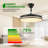 Ceiling Fan with LED Lights