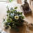 Mixed Assortment Arrangement