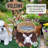 Sitting Dog Solar Lantern Planter Statue