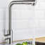 Belfry Kitchen Simlai Pull Out Kitchen Faucet