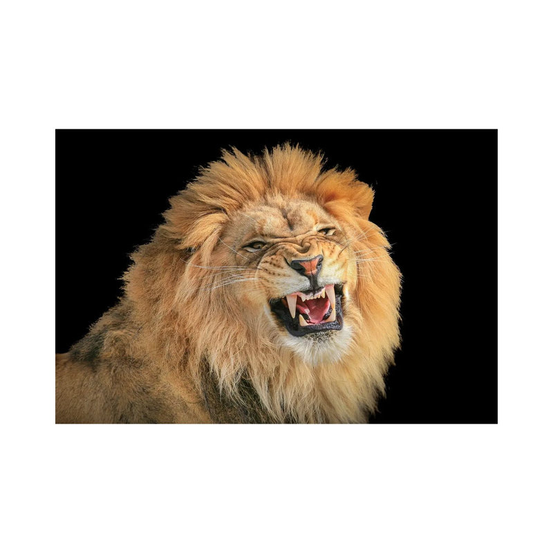 The King - A Portrait by Jeffrey C. Sink - Wrapped Canvas Print, 20.32 cm H x 30.48 cm W