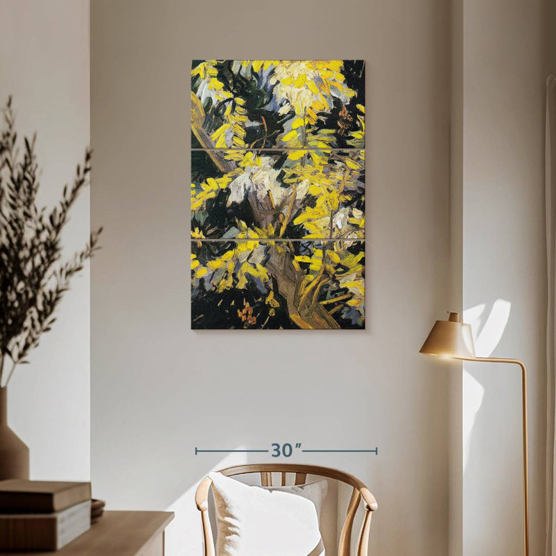 Blossoming Acacia Branches