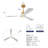 Hot Sales Indoor Ceiling Fan With Dimmable Led Light 3 Solid Wood Blades Remote Control Reversible Dc Motor-104199740-104199737-104199876