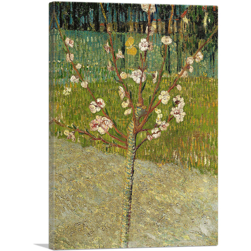 Amandier en fleur 1888 par Vincent Van Gogh, reproduction d'art sur toile tendue, H 18 po x l 12 po x 1,5 po
