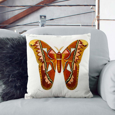 Square Throw Cushion