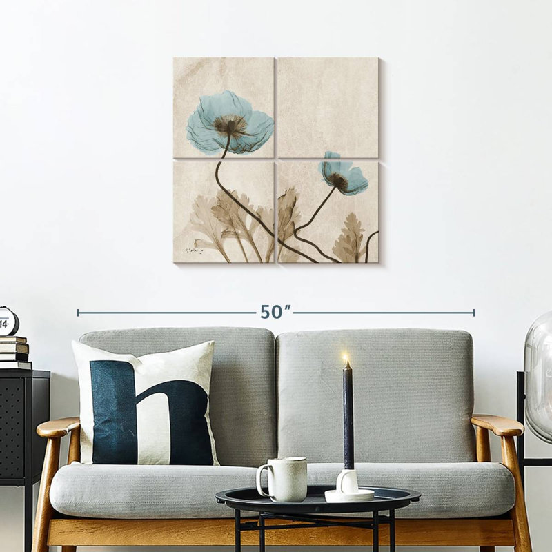 Radiographie du coquelicot bleu, H 26 po x l 26 po