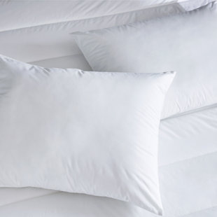 Clean Design Home x Martex Anti-Allergen 100% Cotton Cover 300 Thread Count Blown Bed Pillow