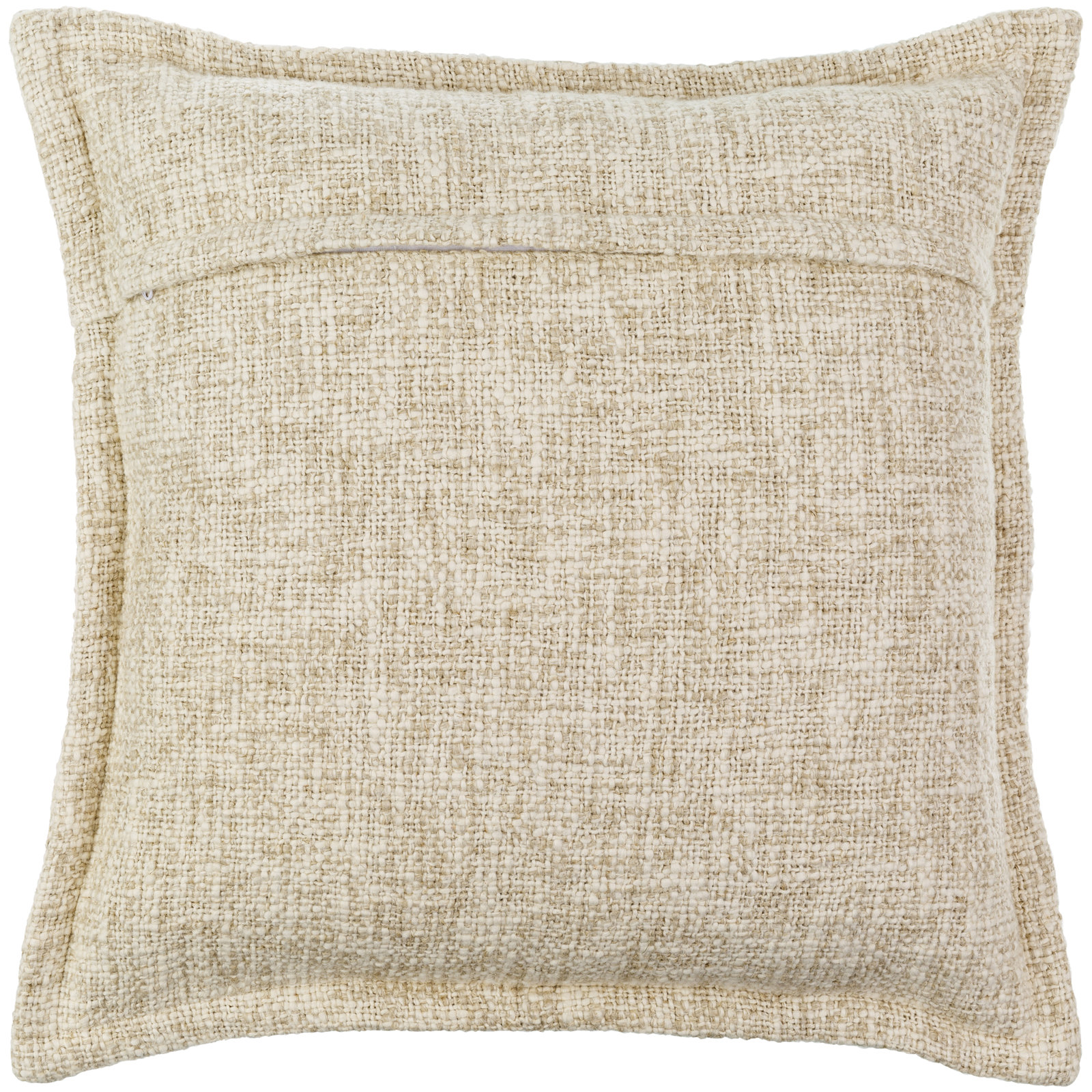 Warbler 20" x 20" Pillow Cover, Beige
