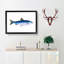 Alpine Charr Fish by Edward Donovan - Single Picture Frame Painting-55545112-55545111